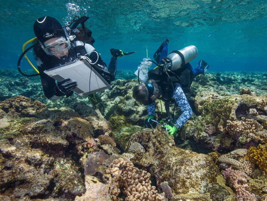 Guides for wreck diving in Australia