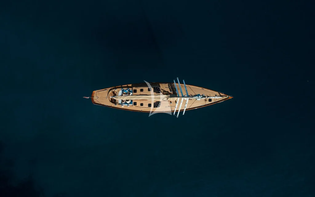 ANIMA II
