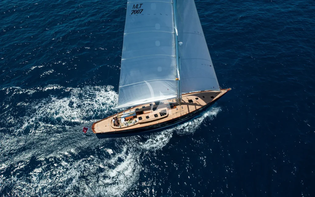 ANIMA II