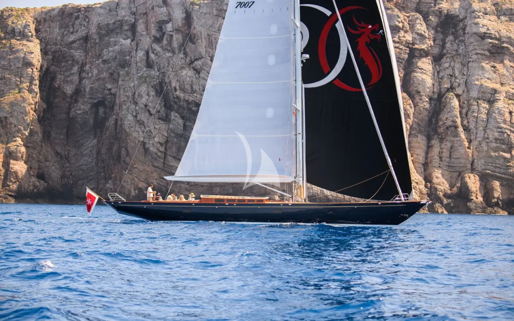 ANIMA II