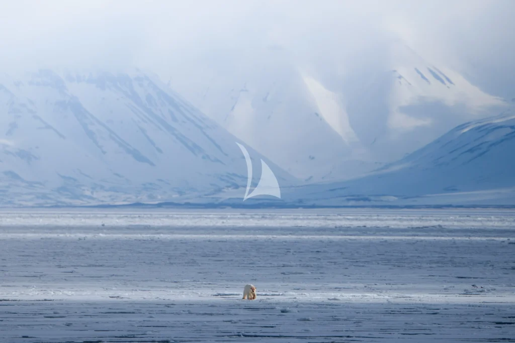 VIKINGFJORD