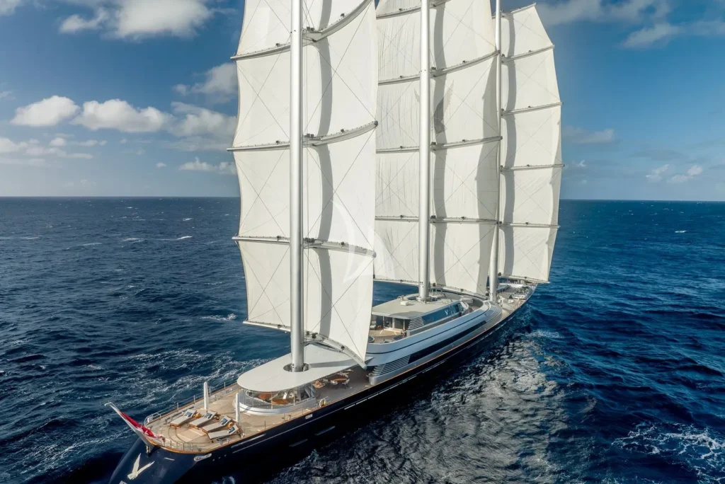 MALTESE FALCON