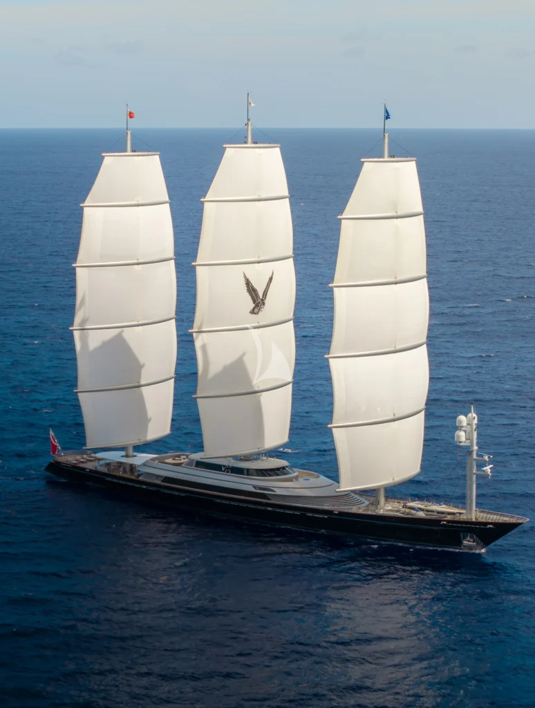 MALTESE FALCON