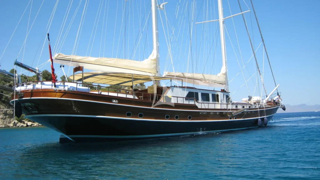 KAYA GUNERI V