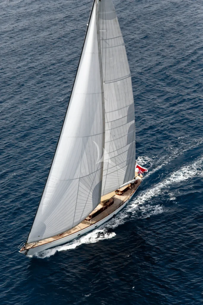 EUGENIA VII